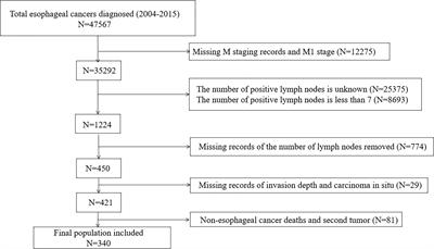 Development and validation of the novel subclassification of pN3 for patients with esophageal cancer